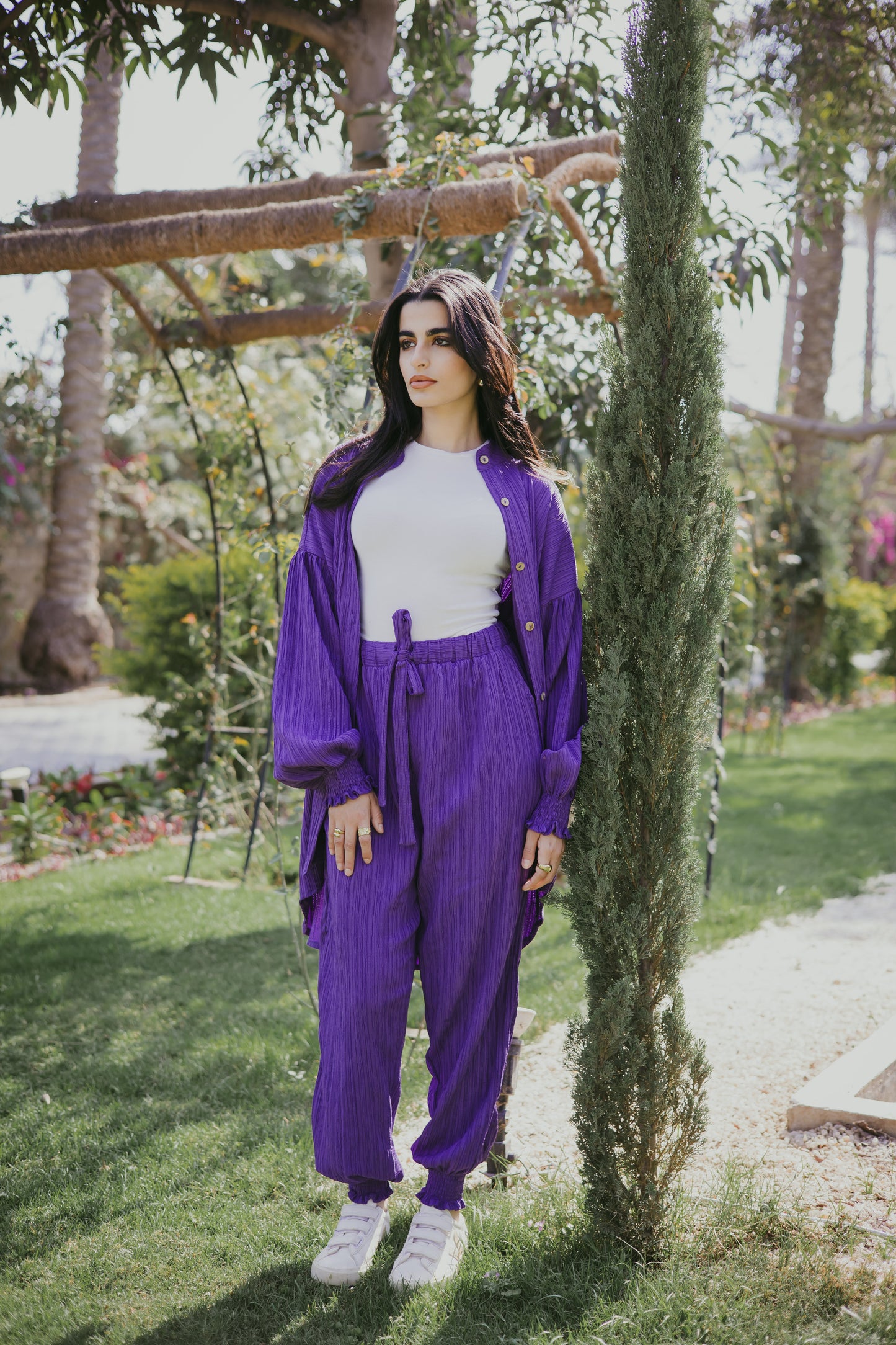 Sulley set in purple