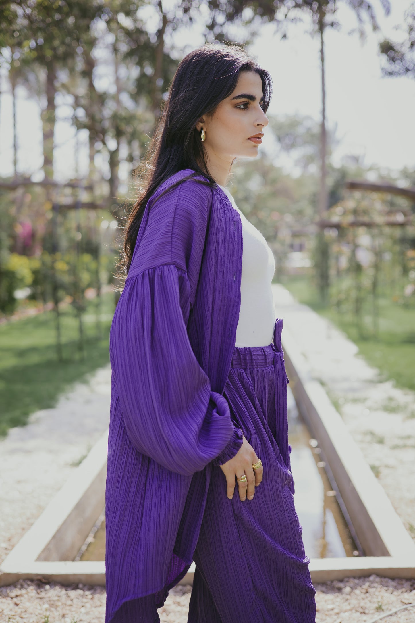 Sulley set in purple